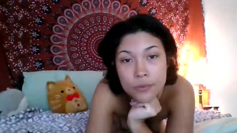 adriana torres online show from 6, 12, 2024