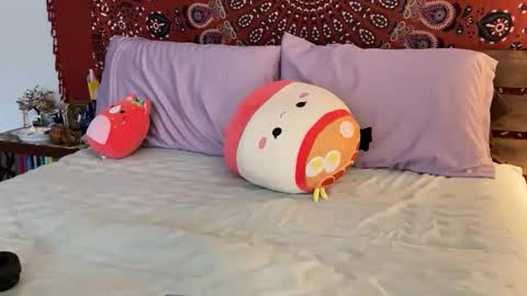 adriana torres online show from 22, 2, 2025