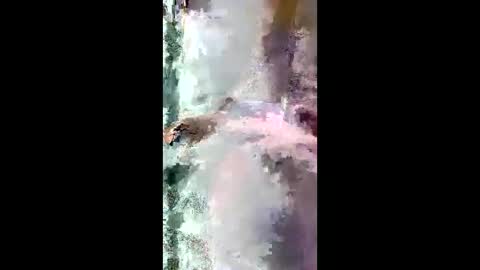 Snapshot of starrywhispers chatting on 28, 3, 2026 StarryWhispers online show from 28, 3, 2026