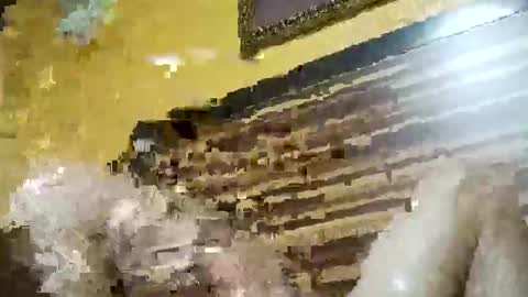 Snapshot of stchelly627 chatting on 8, 3, 2026 stchelly627 online show from 8, 3, 2026