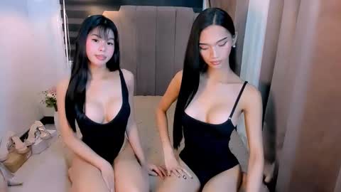 STEF online show from 25, 2, 2026