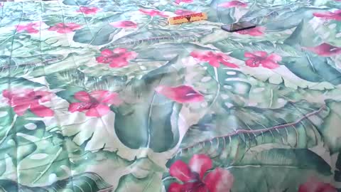 Rocco-load online show from 4, 4, 2026