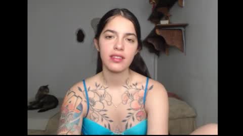 Stella online show from 13, 2, 2026