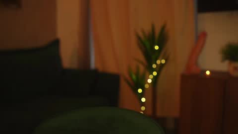 Stella online show from 8, 1, 2025