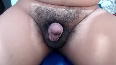 Stellaven online show from 14, 2, 2025