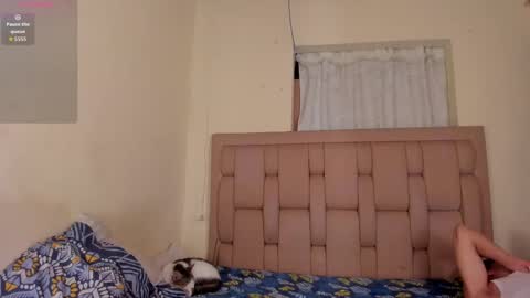 Stepcouple   online show from 11, 9, 2025