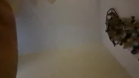 sterng123 online show from 10, 12, 2024