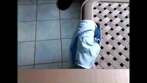 stevenx1974 online show from 8, 3, 2026