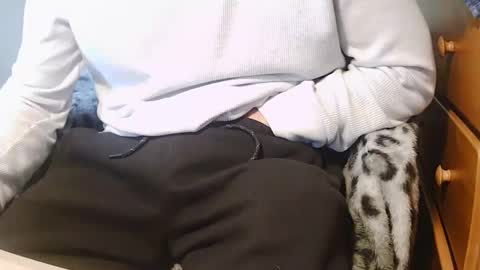 Snapshot of stevo69697 chatting on 2, 3, 2025 Chillguy online show from 2, 3, 2025