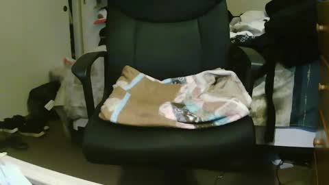 Snapshot of stevo69697 chatting on 4, 3, 2025 Chillguy online show from 4, 3, 2025