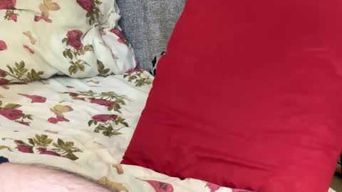 Chris online show from 21, 10, 2025