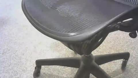 Snapshot of stlhammer68 chatting on 6, 11, 2025 stl hammer online show from 6, 11, 2025