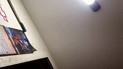 Oval2022 online show from 1, 1, 2025