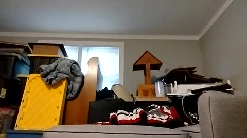 Streetwyze online show from 25, 10, 2025