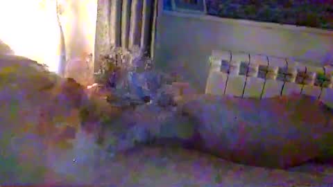 str8guy2015 online show from 24, 1, 2025