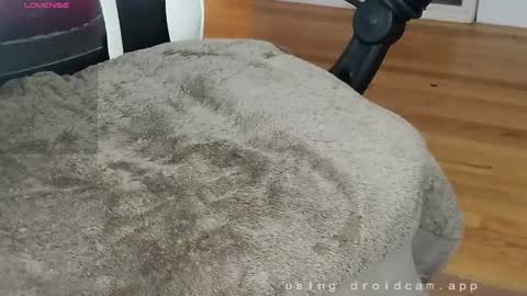 straighteight88 online show from 25, 12, 2024