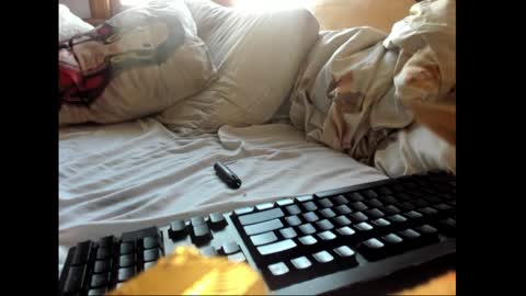 strawboy300 online show from 17, 1, 2025