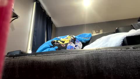 stroking33again online show from 1, 1, 2025