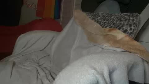 Dong Stroker online show from 18, 3, 2026