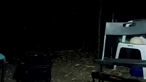 Snapshot of stroll0695 chatting on 12, 2, 2025 Bigdickdugan online show from 12, 2, 2025