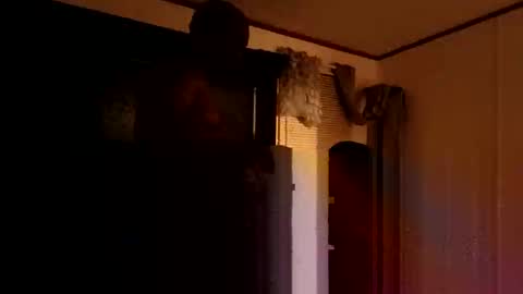 studd77637299 online show from 15, 11, 2025