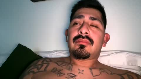 stylezg805 online show from 4, 10, 2025