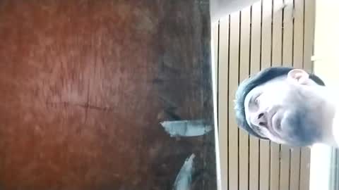 suaber_ online show from 21, 10, 2025