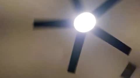 suckurclit40 online show from 4, 12, 2025