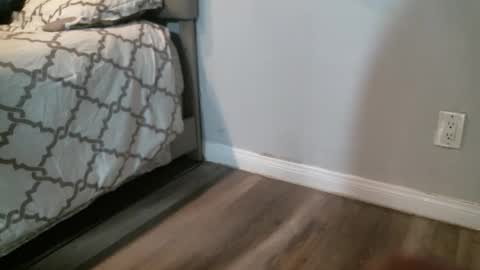 sugar1014 online show from 9, 9, 2025