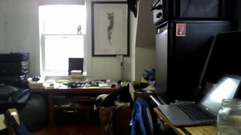 Sugar online show from 14, 4, 2026