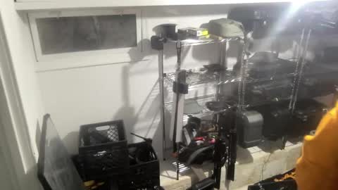 Sugar online show from 28, 12, 2024