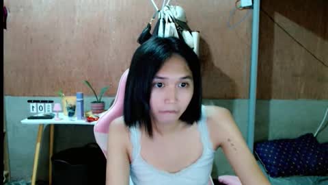 Sugar online show from 1, 3, 2026