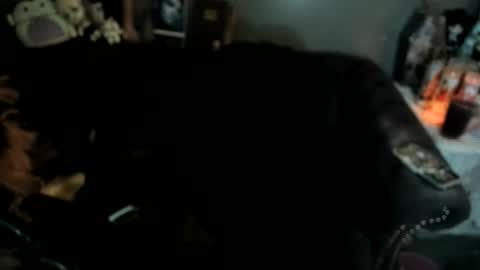 Sugary online show from 19, 1, 2026