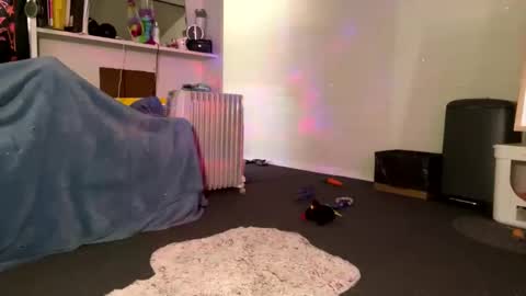 Summer online show from 27, 1, 2025