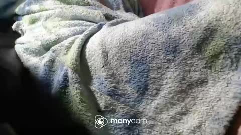 sven online show from 6, 11, 2025