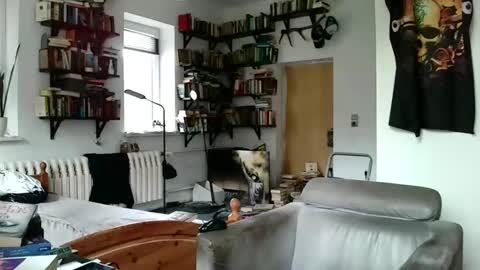 Snapshot of sunr1sa chatting on 3, 1, 2025 sunr1sa online show from 3, 1, 2025