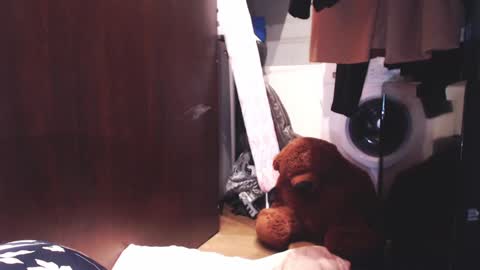 Hella online show from 3, 12, 2024