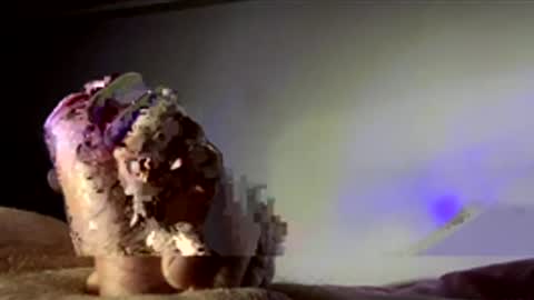 surgenz73 online show from 16, 1, 2026