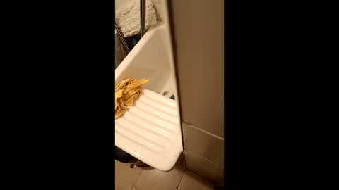 suso9092 online show from 23, 3, 2026