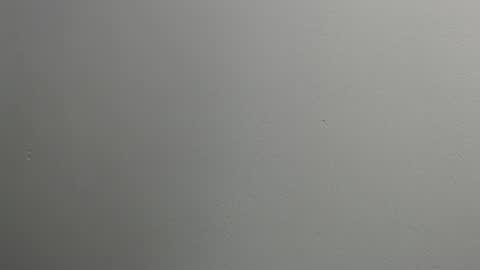 sussy leon online show from 28, 1, 2025