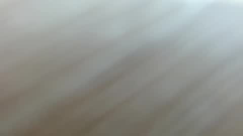 sweet_kitty_05 online show from 15, 2, 2026