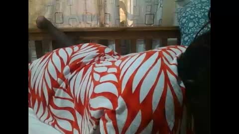 MELVIN online show from 25, 11, 2025