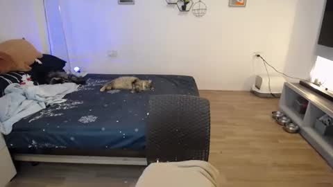 Snapshot of sweetcuteangel chatting on 21, 1, 2025 angel 3 online show from 21, 1, 2025