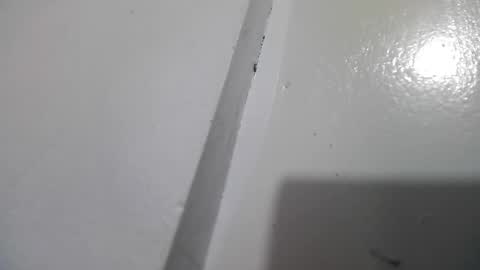 Stacy online show from 13, 4, 2026