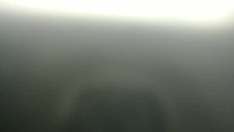 slim ivy online show from 3, 4, 2026