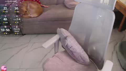 Pau online show from 25, 4, 2026