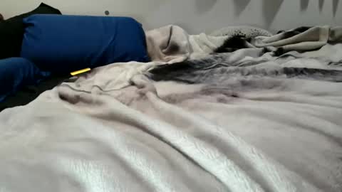 sybadog online show from 19, 2, 2026