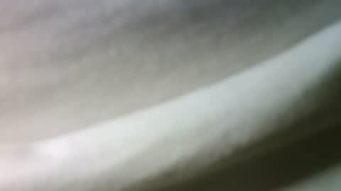 syrius57920 online show from 22, 2, 2025