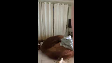 tab7exp online show from 21, 3, 2026