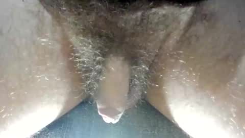 Snapshot of tacosize chatting on 5, 3, 2026 mr taco online show from 5, 3, 2026